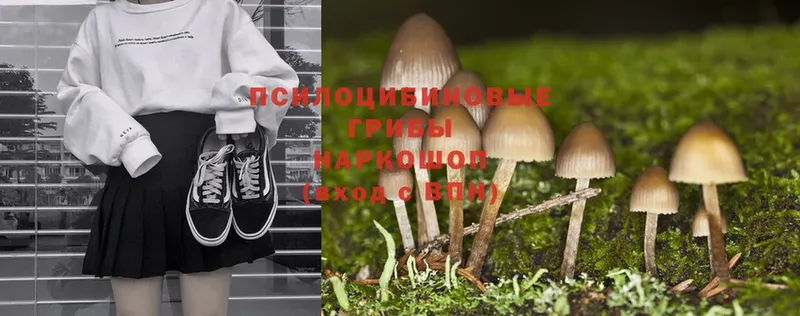 Галлюциногенные грибы MAGIC MUSHROOMS  Дальнереченск 